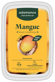 purée de mangue kesar et alphonso adamance