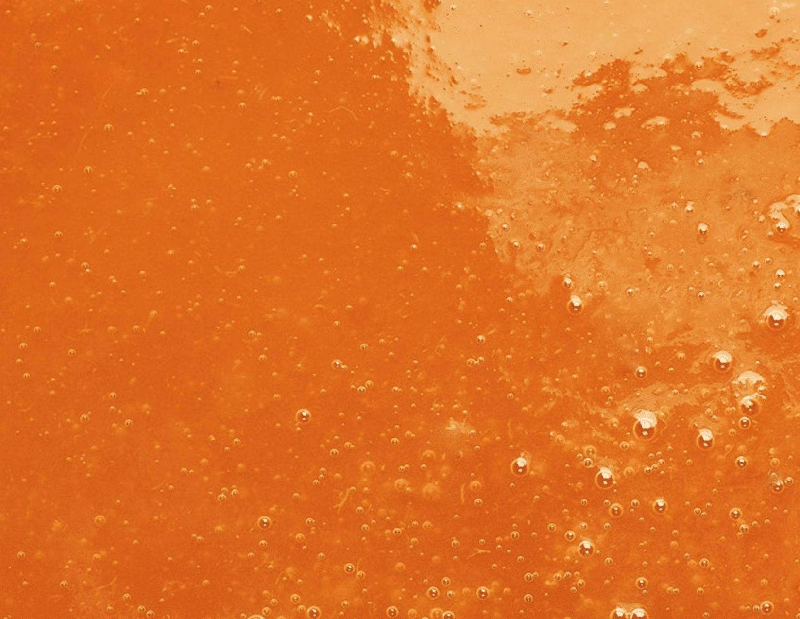 purée d'abricots surgelée adamance