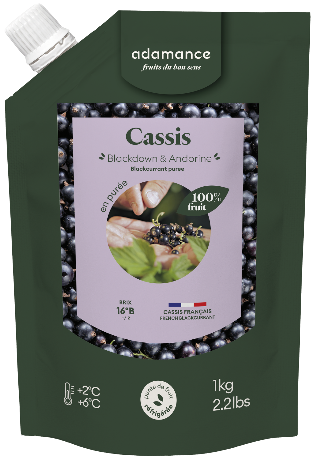 purée de cassis réfrigérée adamance